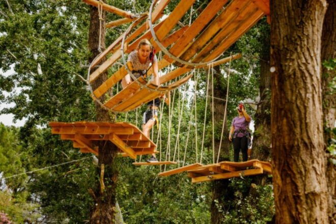 Roquebrune-sur-Argens:Treetop,Giant Zipline & Wall Climbing - Scenic Views
