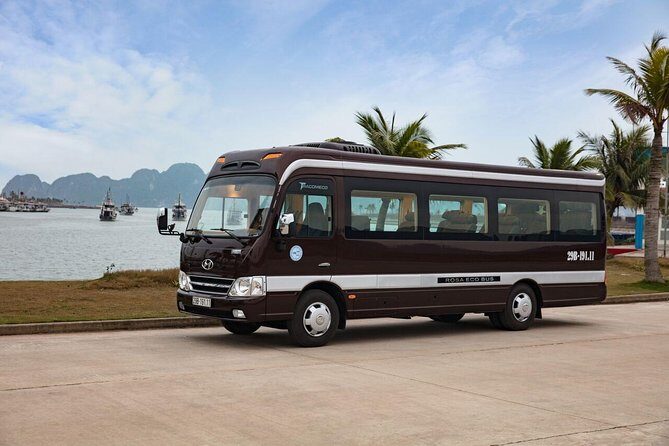 Rosa Eco Bus Luxury Transfer Ha Long to Ha Noi - Good To Know
