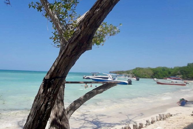 Rosario Islands Full Day Tour - Tour Overview