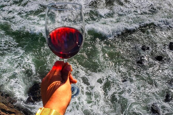 Rosarito City Tour & Wine Tasting Hotel Rosarito Beach - Visuals and Experiences