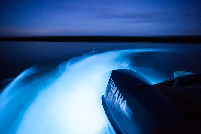 Rose Hall Great House and Luminous Lagoon Night [Transportation Only ] - Pricing and Booking Details