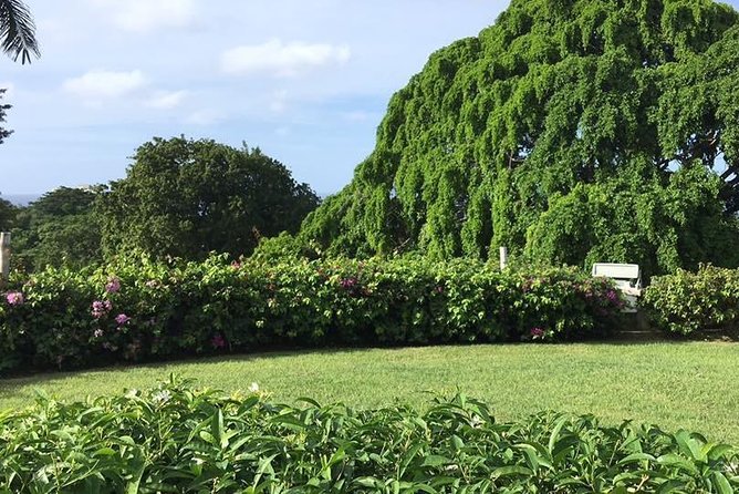 Rose Hall Great House Day or Night Haunted Tour - Tour Overview