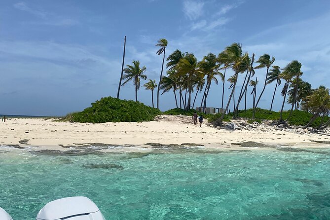Rose Island 3 Islands Tour, Swim With Pigs, Turtles, Snorkelling. - Meeting Point and Pickup