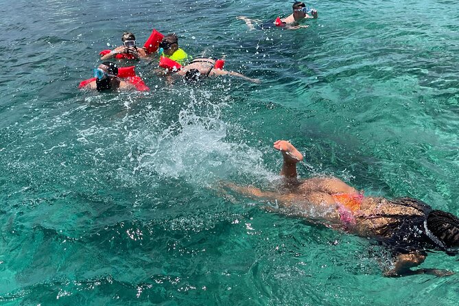 Rose Island 3 Islands Tour, Swim With Pigs, Turtles, Snorkelling. - Directions to the Meeting Point