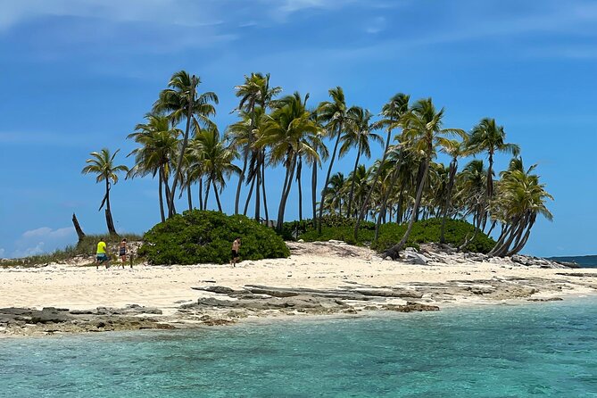 Rose Island 3 Islands Tour, Swim With Pigs, Turtles, Snorkelling. - End Point of the Activity