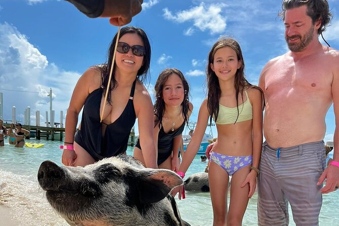 Rose Island 3 Islands Tour, Swim With Pigs, Turtles, Snorkelling. - Common Questions