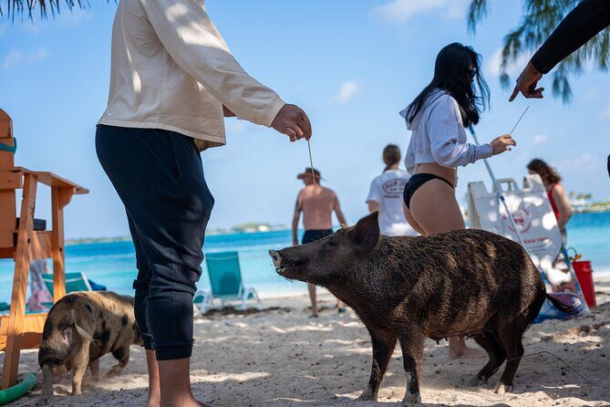 Rose Island Private Boat Tour Departing Nassau - Good To Know