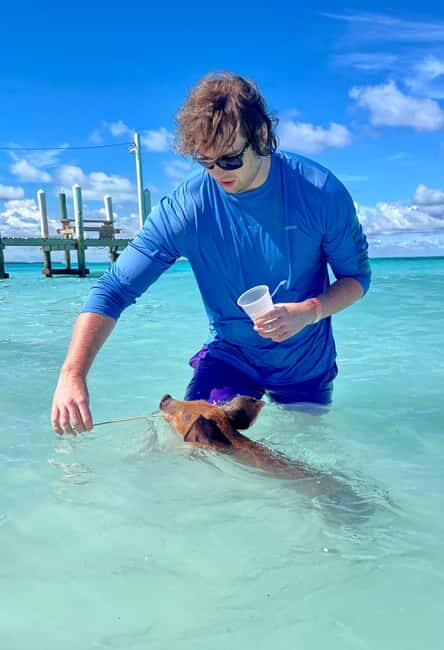 Rose Island: Snorkeling, Swimming Pigs & Unlimited Rum Punch - Good To Know