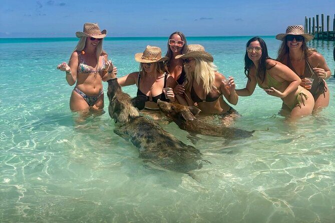 Rose Island Swimming Pigs & Beach Snorkeling Experience Nassau - The Experience in Detail