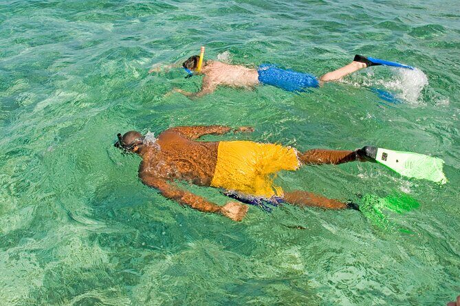 Rose Island Swimming Pigs & Beach Snorkeling Experience Nassau. - Authentic Insights from Reviewers