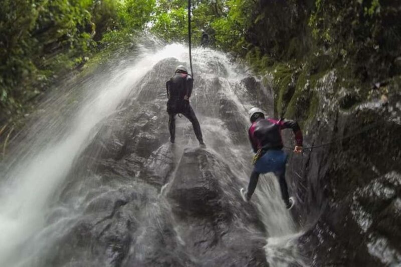 Roseau: Canyoning Discovery Tour - Who Will Love This Experience?  