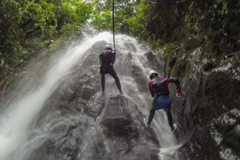 Roseau: Canyoning Discovery Tour - Good To Know
