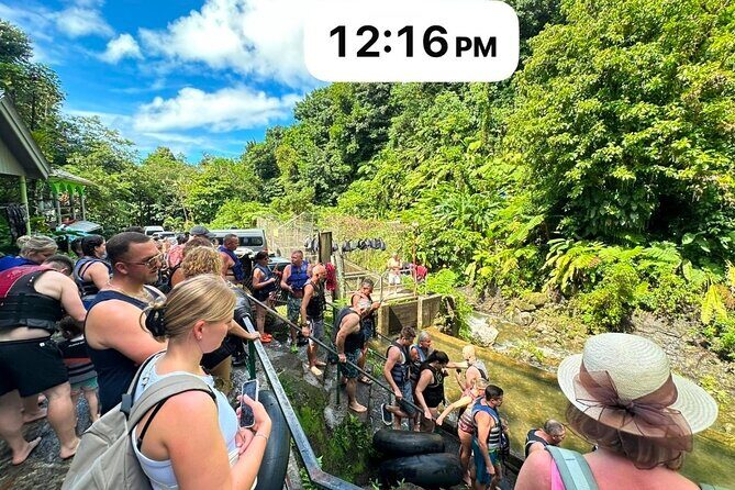 Roseau, Dominica: Rainforest Adventure sport,Waterfall swim - Authentic Insights from Reviews