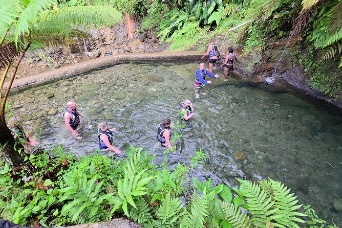 Roseau, Dominica: Rainforest Adventure sport,Waterfall swim - Final Thoughts: Is This Tour for You?