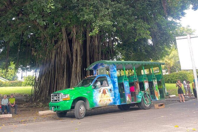 Roseau Dominica Safari Scenic: Rainforest, Falls & Karaoke - Good To Know