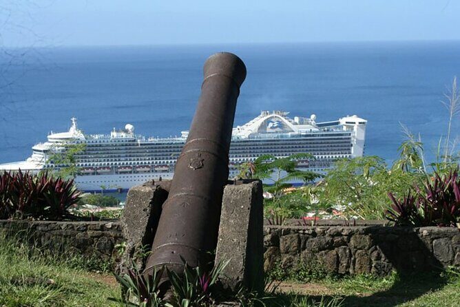 Roseau Dominica Safari Scenic: Rainforest, Falls & Karaoke - An In-Depth Look at the Tour Experience