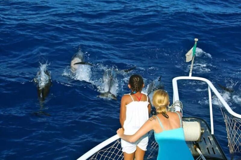 Roseau: Guided Dolphin and Whale Watching Tour With Drinks - An In-Depth Look at the Experience