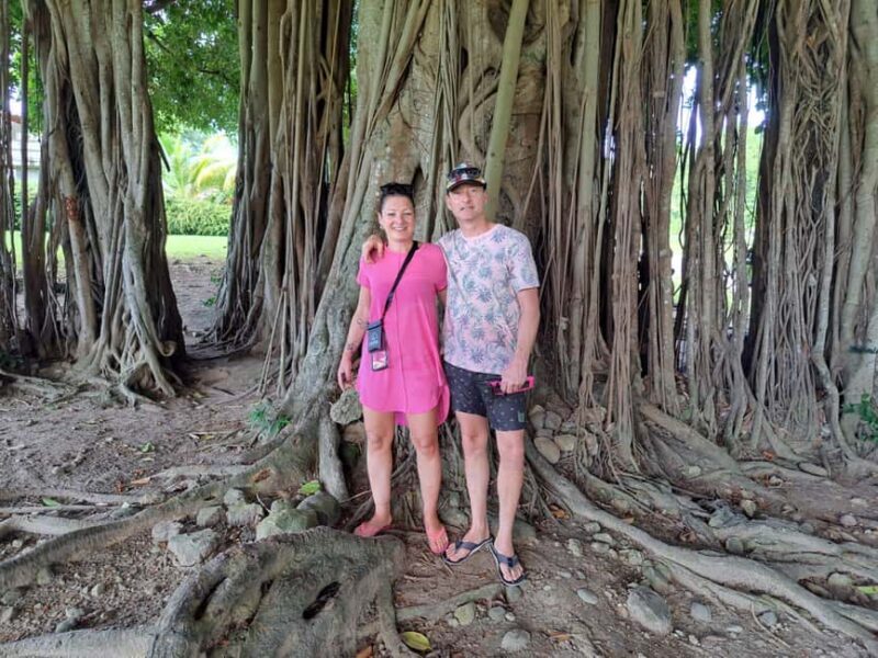 Roseau: Guided Tour with City, Nature, and Beach Options - A Close Look at the Tour Experience