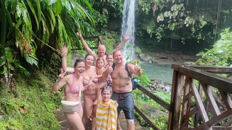 Roseau: Guided Tour with City, Nature, and Beach Options - Who Should Consider This Tour?