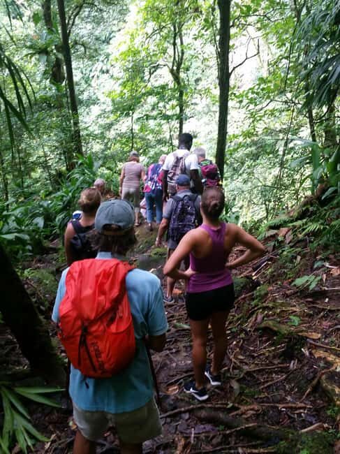 Roseau: Middleham Falls Hike & Titou Gorge Half-Day Trip - Practical Tips for Participants