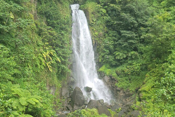 Roseau Rainforest Adventure to Waterfalls & water canyon swimming - The Authenticity of the Experience