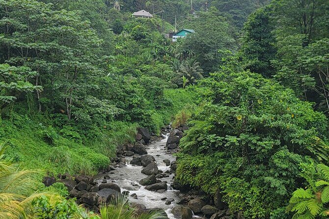 Roseau Rainforest Adventure to Waterfalls & water canyon swimming - Practical Tips for Your Tour