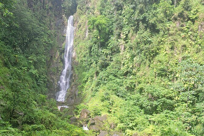 Roseau Rainforest Adventure to Waterfalls & water canyon swimming - Who Is This Tour Best For?
