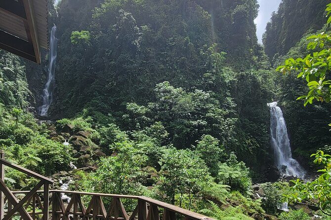Roseau Rainforest Adventure to Waterfalls & water canyon swimming - FAQ