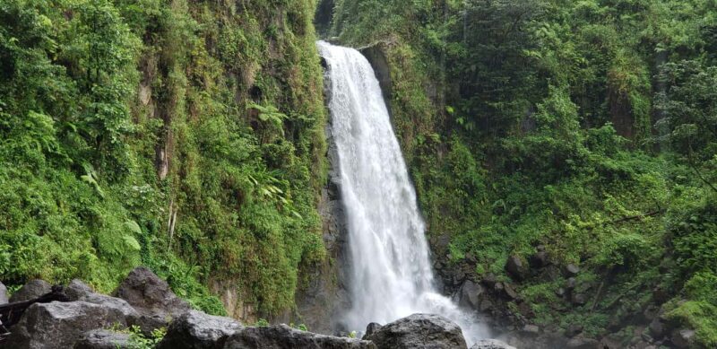 Roseau: Titou Gorge, Hot Spring, Falls & Champagne Reef Tour - An In-Depth Look: The Tour Itinerary and Its Value