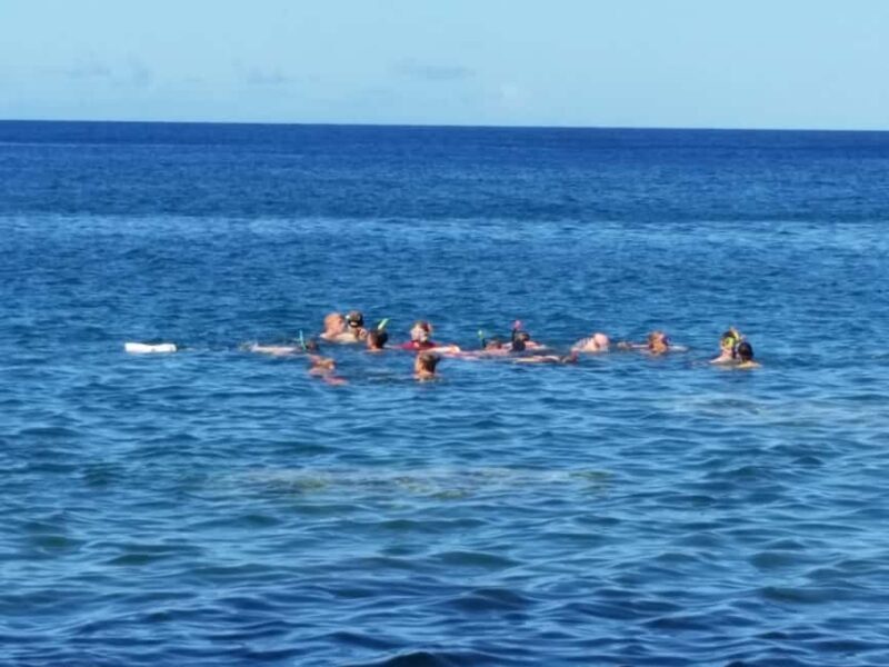 Roseau: Titou Gorge, Hot Spring, Falls & Champagne Reef Tour - Practical Tips for a Seamless Experience  