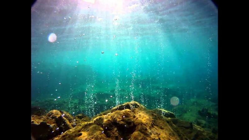 Roseau: Titou Gorge, Hot Spring, Falls & Champagne Reef Tour - Final Thoughts