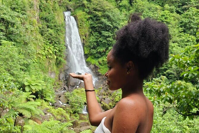 Roseau Valley to Champagne Beach Tour Experience - Who Would Love This Tour?  