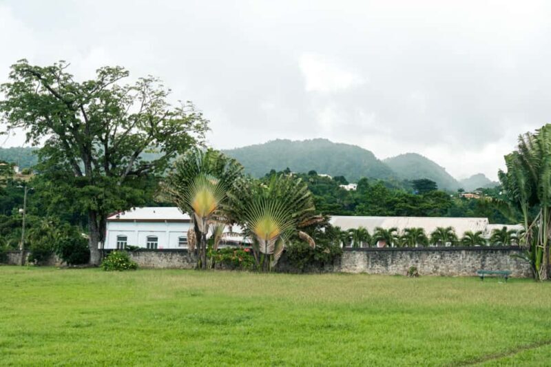 Roseaus Natural Beauty | Private Half-Day Tour - An Authentic Look at Dominica’s Natural Wonders