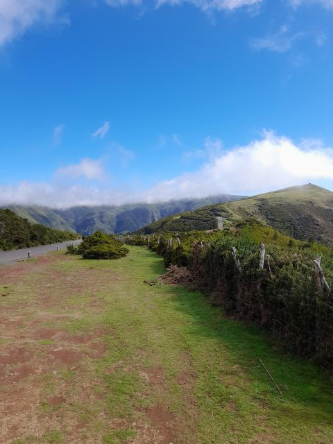 Rosemary Trail - Activity Overview