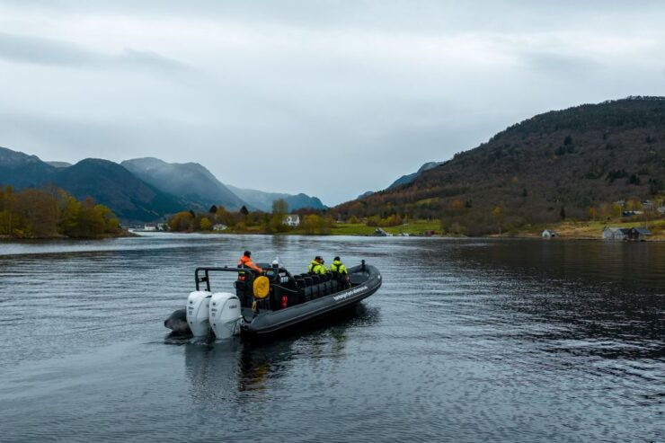 Rosendal Fjord Explore: RIB Adventure on the Hardangerfjord - Adventure Highlights