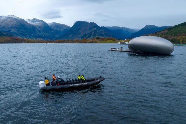 Rosendal Majesty: Exclusive RIB Adventure in Hardangerfjord - Adventure Highlights