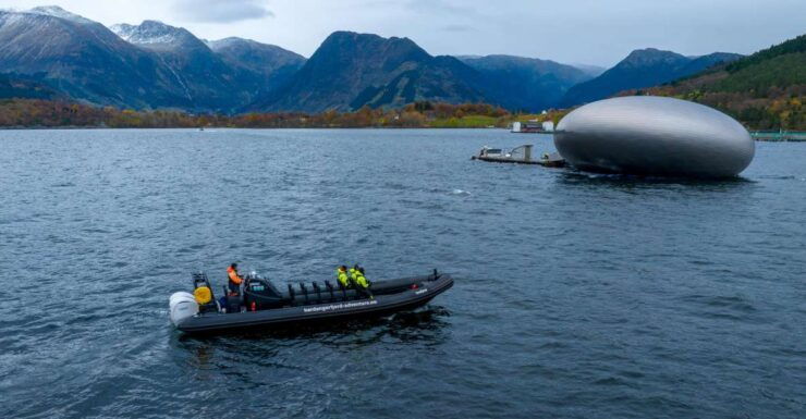 Rosendal Majesty: Exclusive RIB Adventure in Hardangerfjord - Booking Details