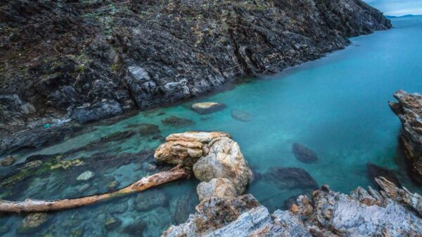 Roses: Boat Trip to Cap De Creus and Cadaqués - Summary