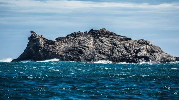 Roses: Boat Trip to Cap De Creus and Cadaqués - The Sum Up