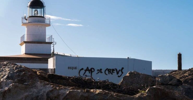 Roses: Boat Trip to Cap De Creus and Cadaqués - Activity Details