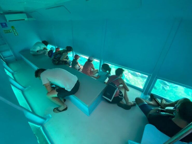 Roses: Costa Brava Catamaran Trip With Underwater Views - Booking Information