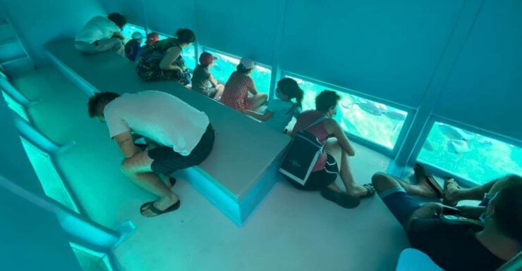Roses: Costa Brava Catamaran Trip With Underwater Views - Experience Highlights