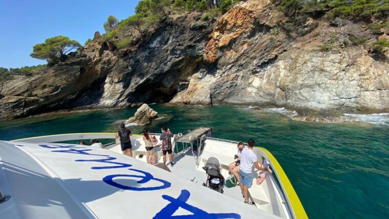 Roses: Cruise to Cala Murtra With Underwater Views - Discovering the Underwater World