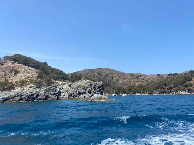 Roses: Kayak Rental - Customer Feedback