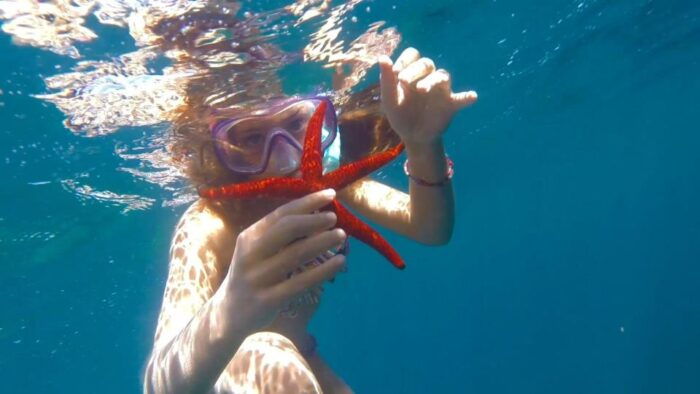 Roses: Rent the Boat and Live an Unforgettable Experience - Discovering Underwater Life