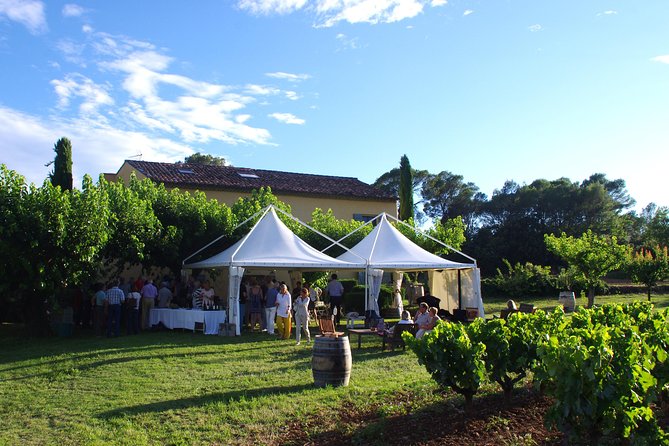 Roséwinetasting Parties or Workshops With a Wineeducator at Your Place - How to Choose the Right Wine Educator