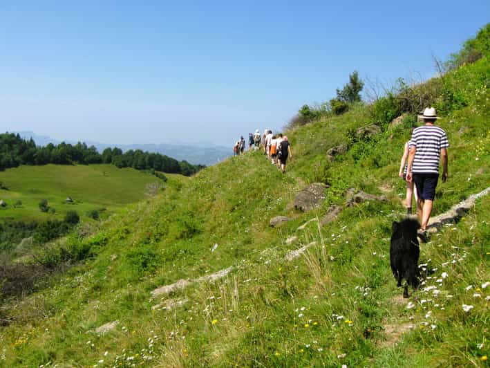 Rosia Montana Gold Mine & Hike (1 Day, From Cluj) - Key Points