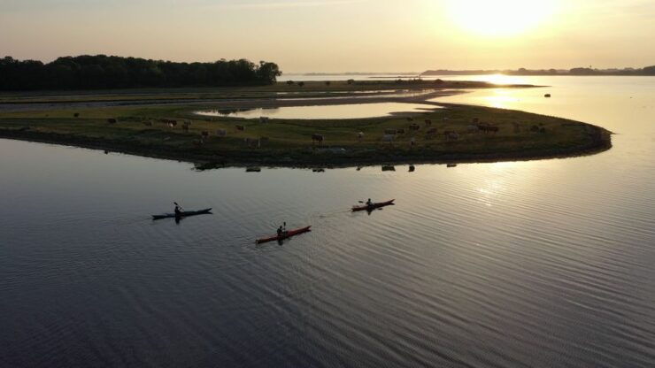 Roskilde: Guided Kayaking on Roskilde Fjord: Sunset Tour - Kayak Experience