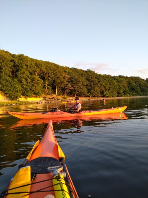 Roskilde:Guided Kayaking on Roskilde Fjord: Sunday Afternoon - Experience Highlights