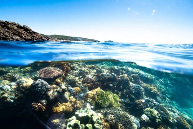 Rosslyn: Great Keppel Island Glass Bottom Boat Tour - Practical Tips for Making the Most of the Tour